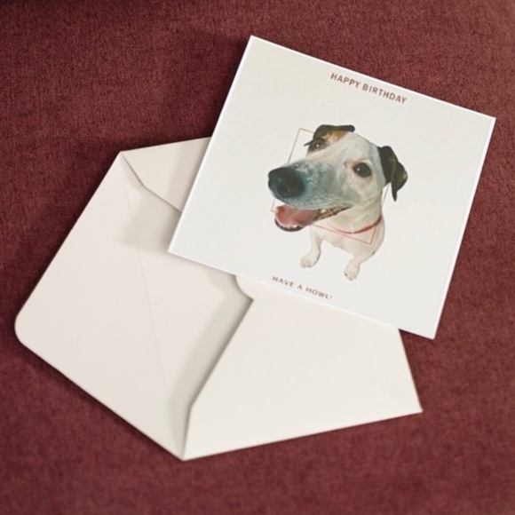 Happy Birthday, Have A Howl Birthday Card - Picture 1 of 7